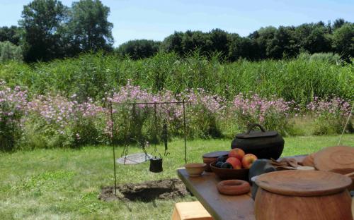 Unser Blumenbeet