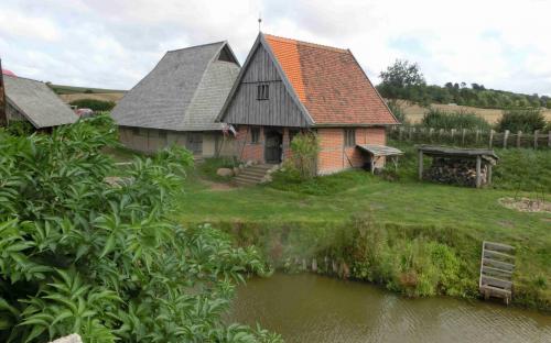 Gartenimpressionen