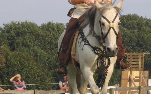Bow-Rider in Aktion 4