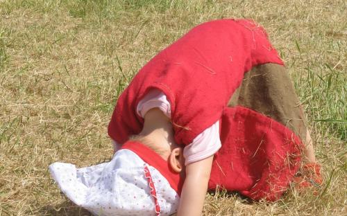 Unser Lagerbaby untersucht die Wiese
