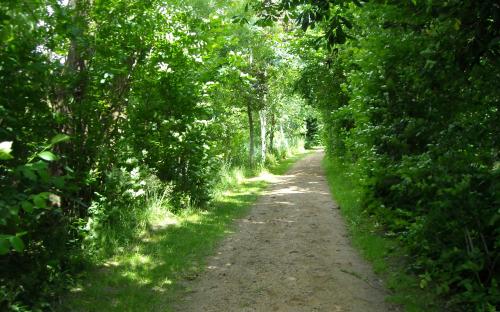 Die hohle Gasse