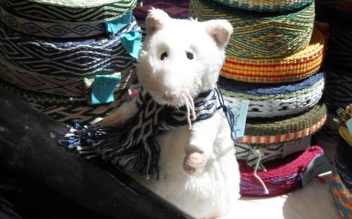 Mittelalte Ratte
