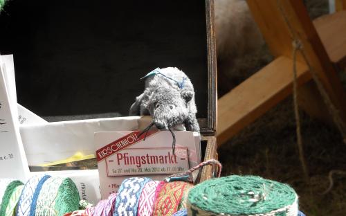 Hungrige Ratte auf der Pirsch