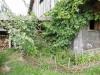 Gartenimpressionen
